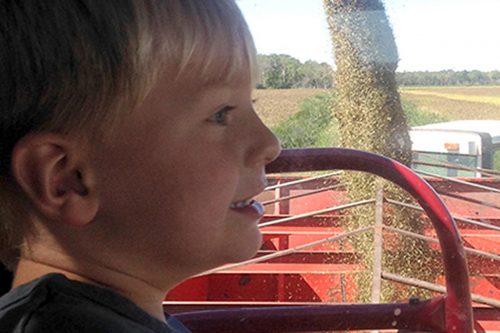 Young family member of Battle River Wild Rice while harvesting