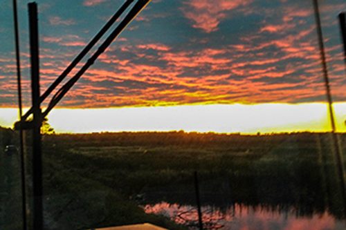 Nistler Family Farm Sunset at Battle River Wild Rice